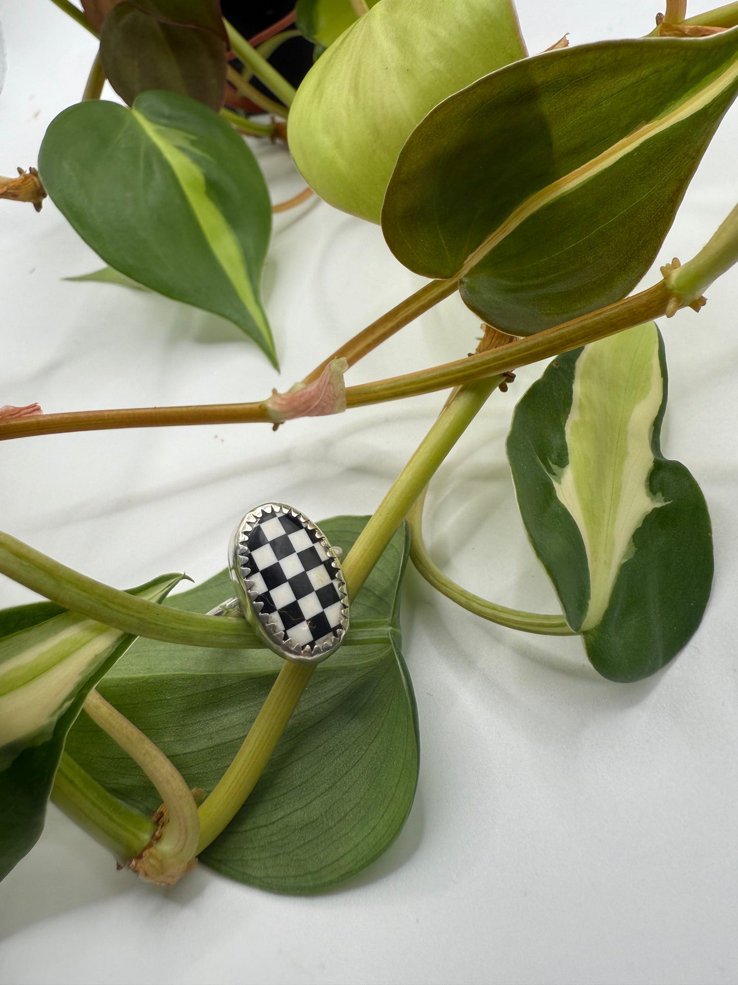 Checker Ring