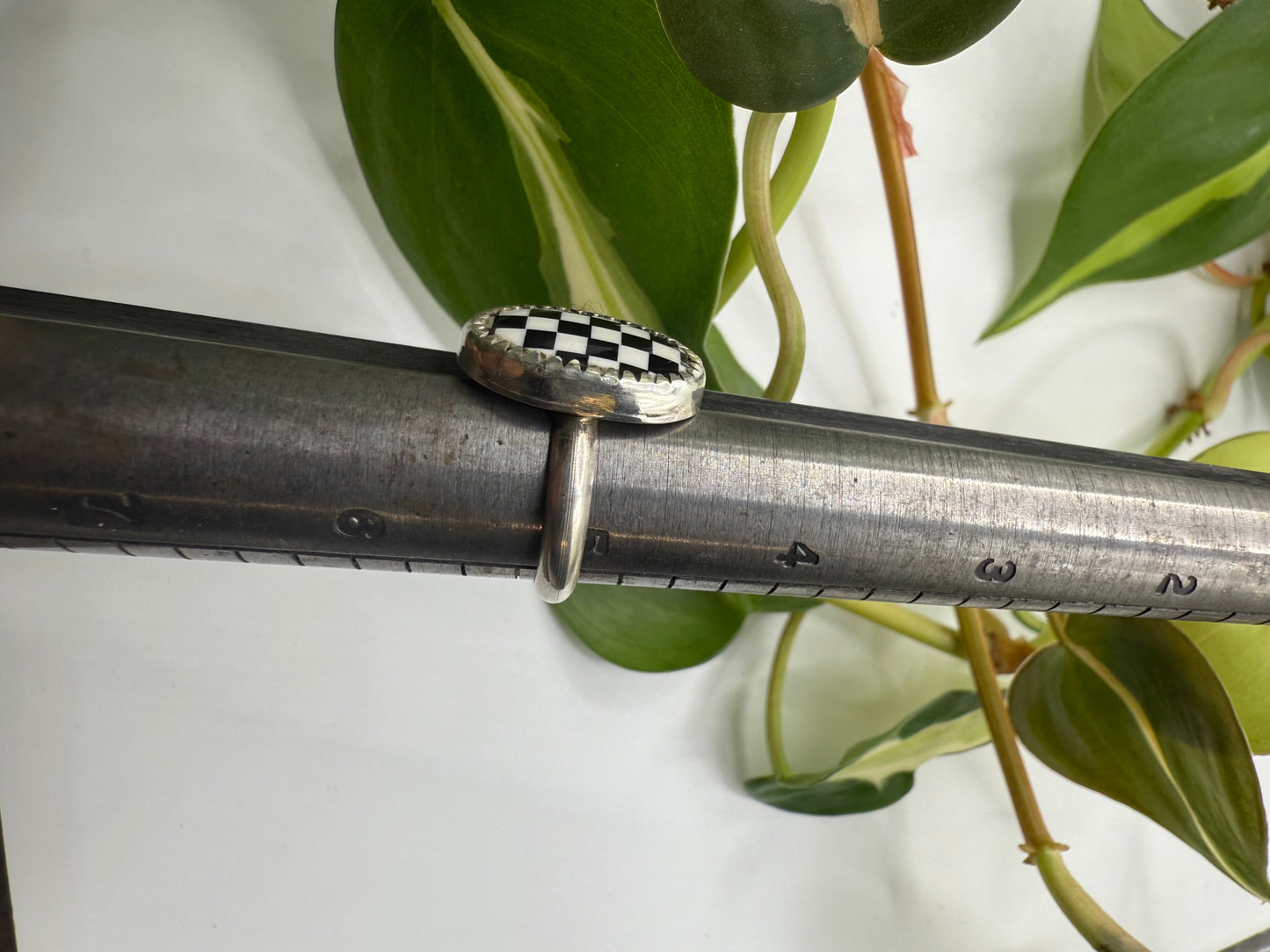 Checker Ring