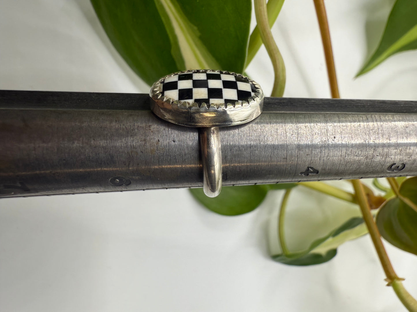 Checker Ring