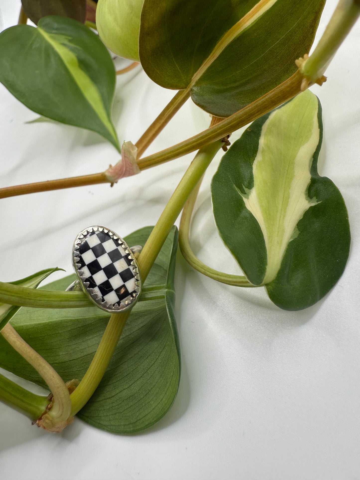 Checker Ring